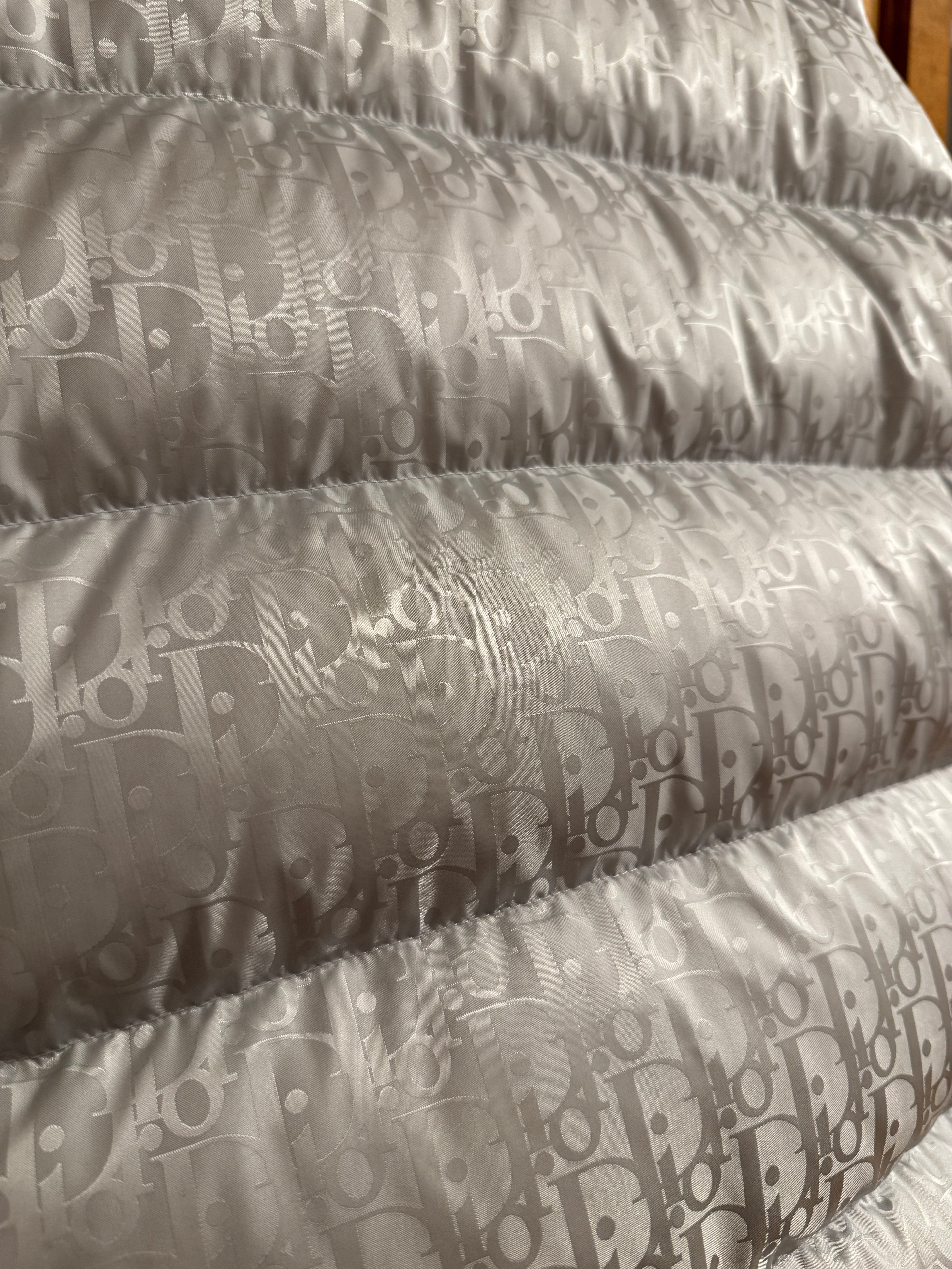 Dior Oblique Puffer Jacket Silver