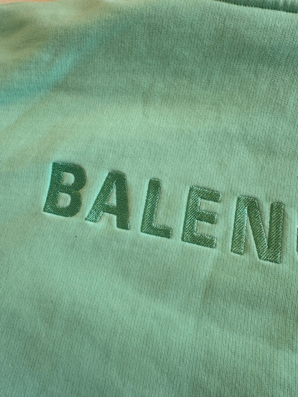 Balenciaga Embroidered Text Logo Hoodie Mint
