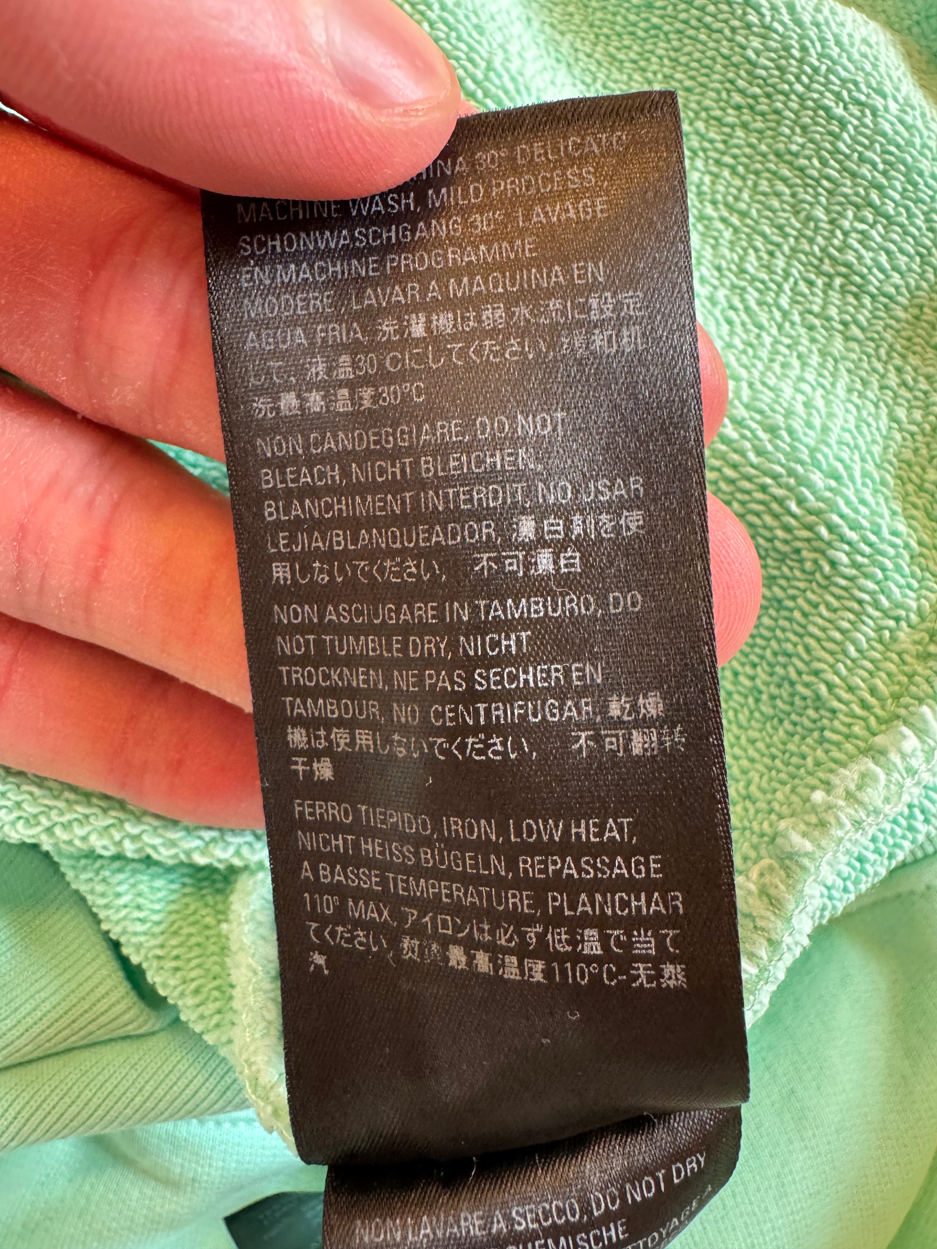Balenciaga Embroidered Text Logo Hoodie Mint