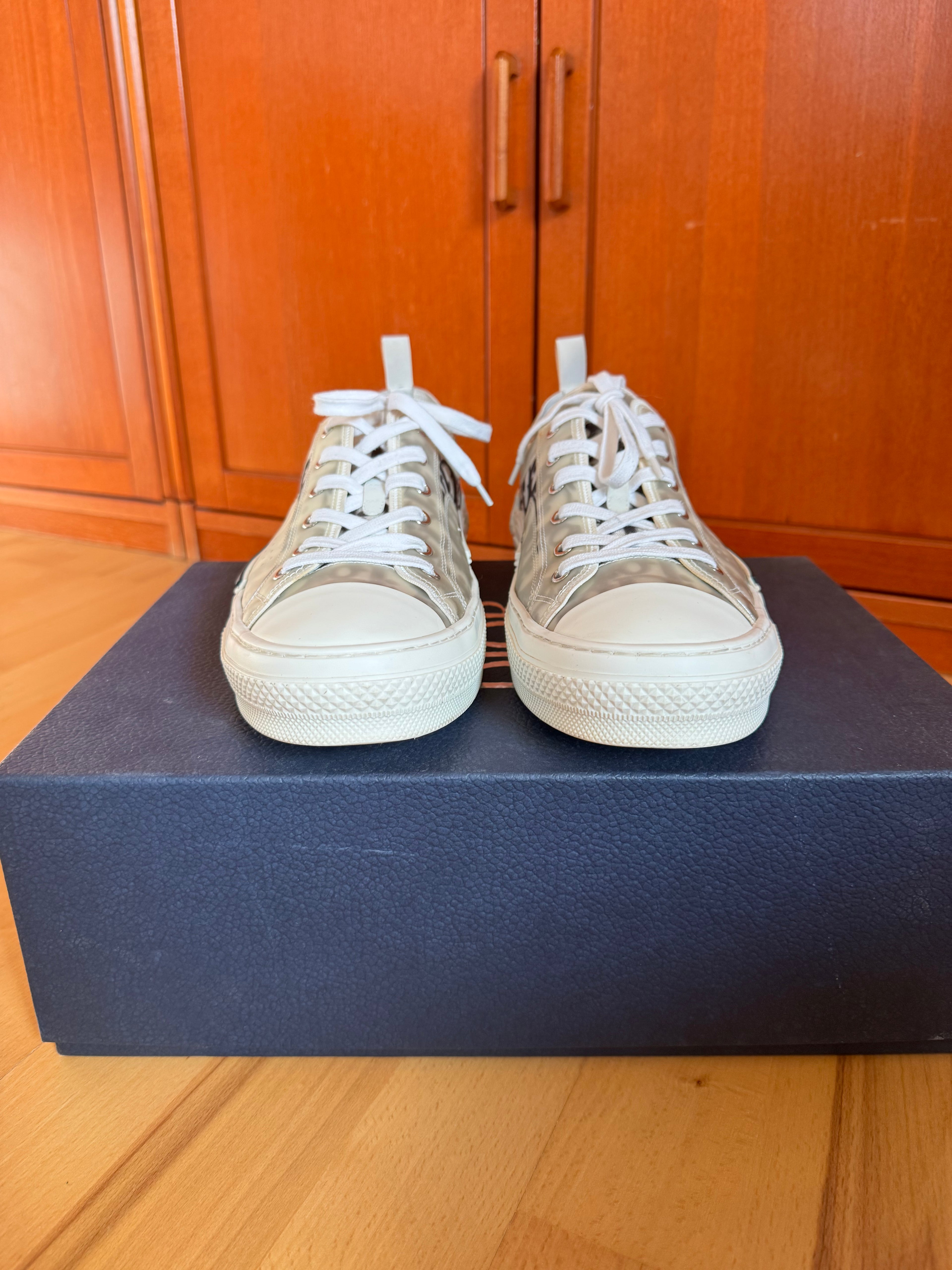 Dior B23 Low Oblique