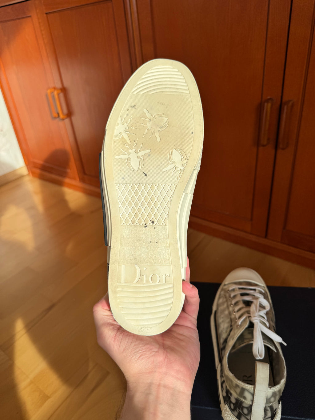 Dior B23 Low Oblique