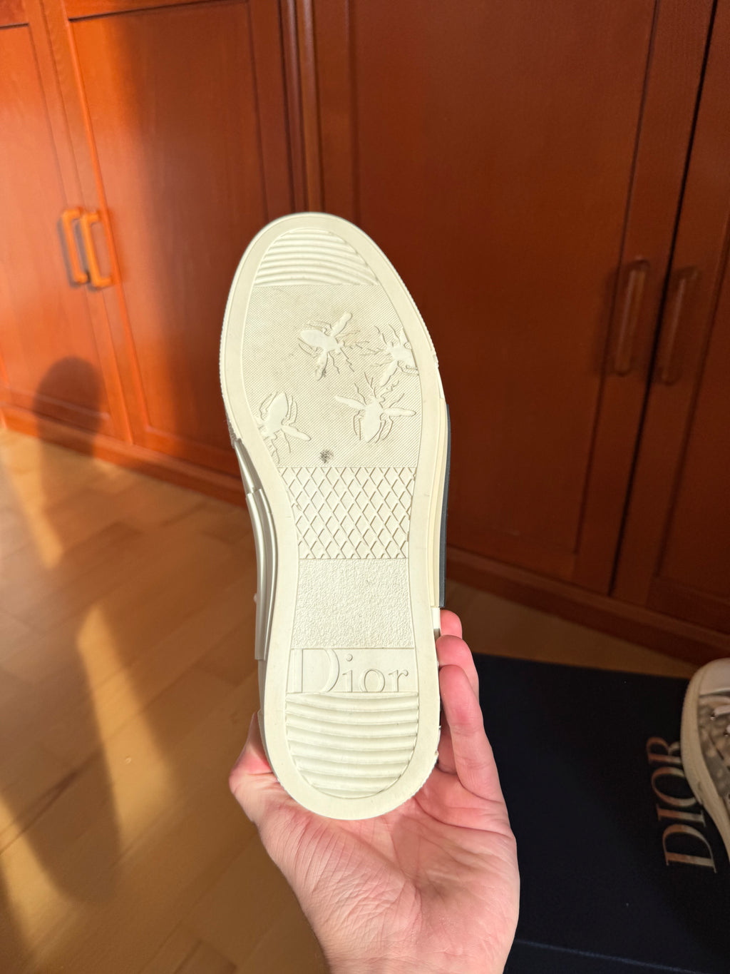 Dior B23 High Oblique