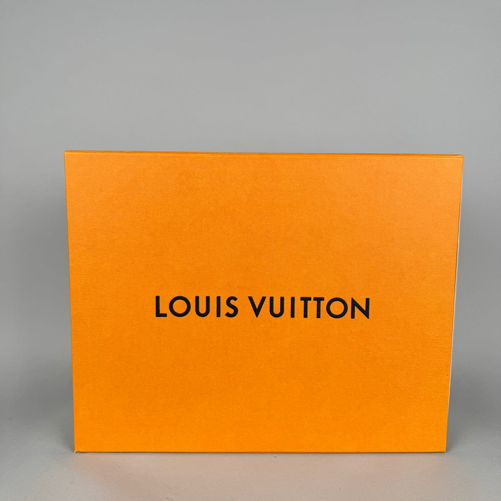 Louis Vuitton LV Skate Blue Brown