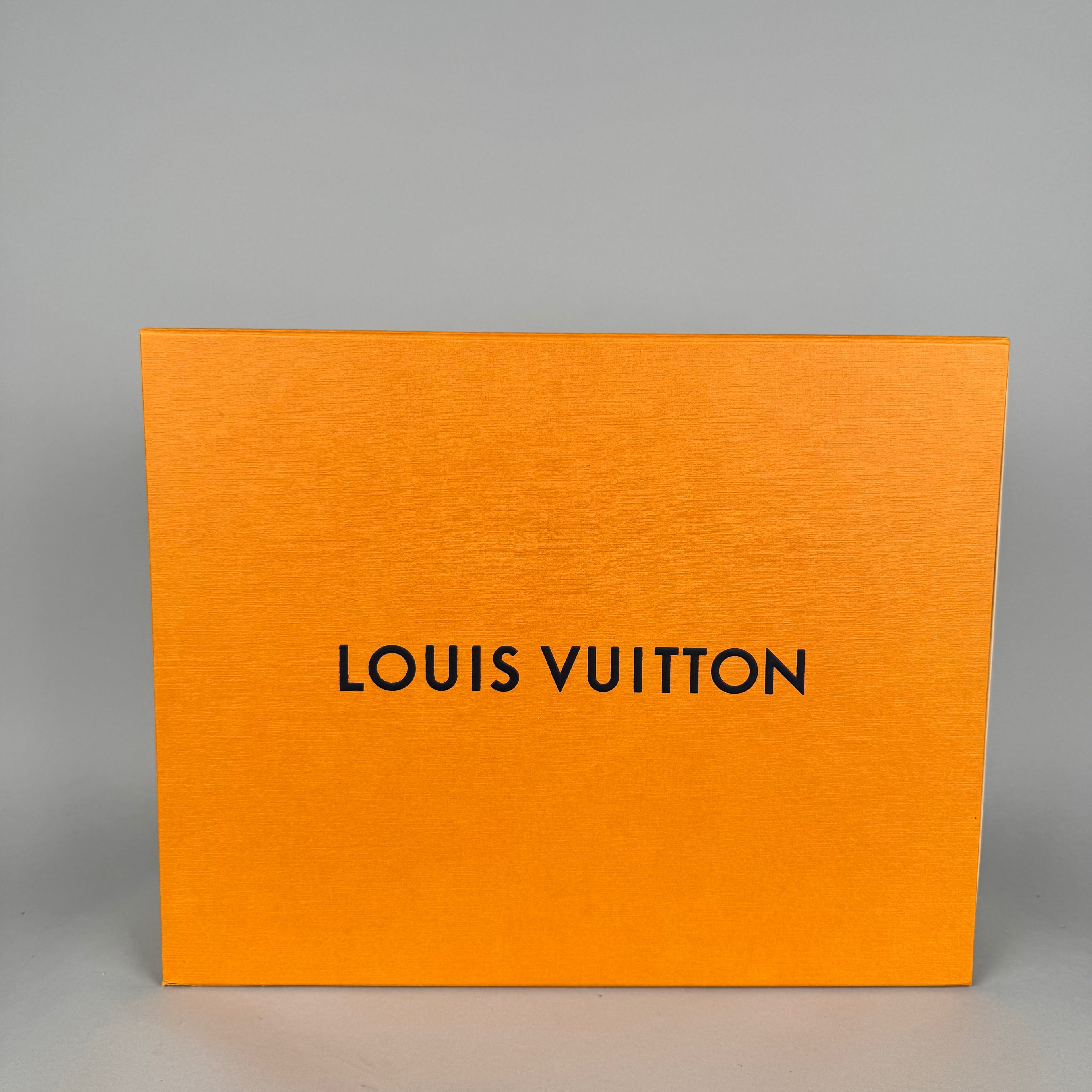 Louis Vuitton LV Skate Blue Brown